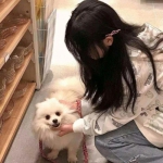 儿童益智恐龙拼图游戏下载